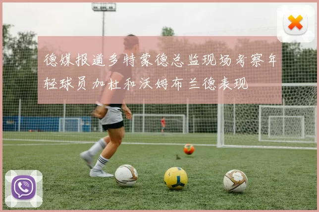 德媒报道多特蒙德总监现场考察年轻球员加杜和沃姆布兰德表现